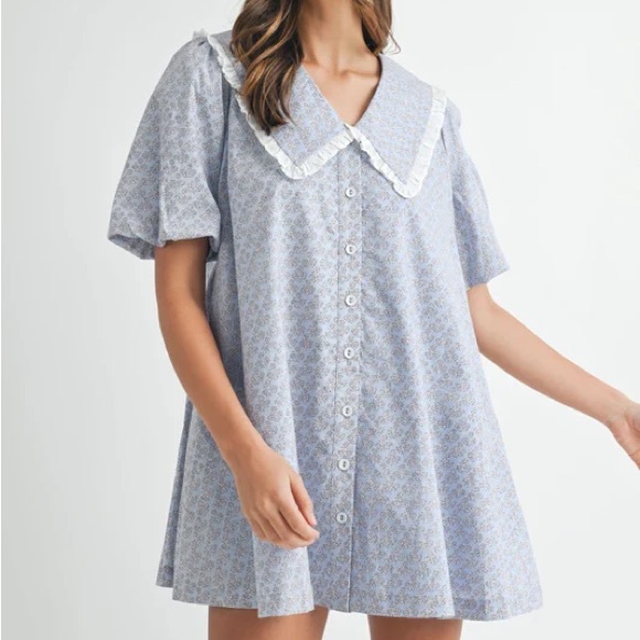 Blue Collared Button-Down Dress - Picture 1 of 6